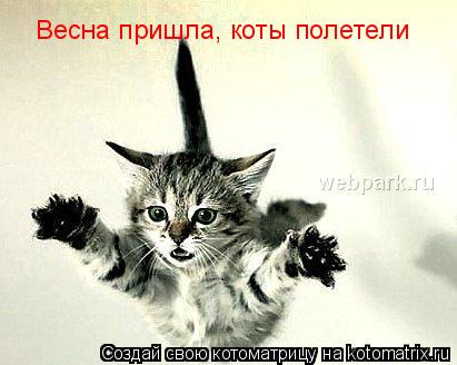 Котоматрица: Весна пришла, коты полетели