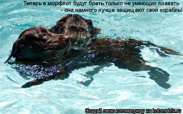 Котоматрица: Теперь в морфлот будут брать только не умеющих плавать  - они намного лучше защищают свой корабль!