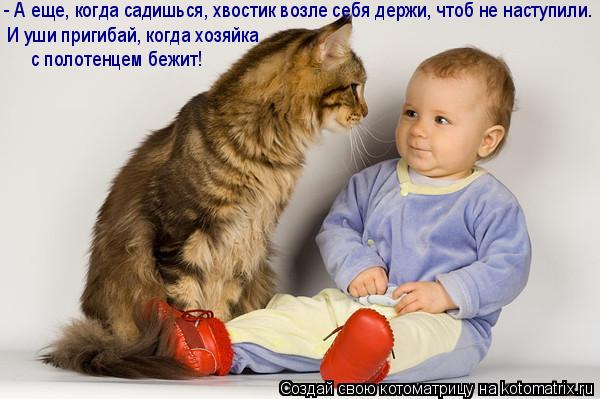 Котоматрица: - А еще, когда садишься, хвостик возле себя держи, чтоб не наступили. И уши пригибай, когда хозяйка с полотенцем бежит!