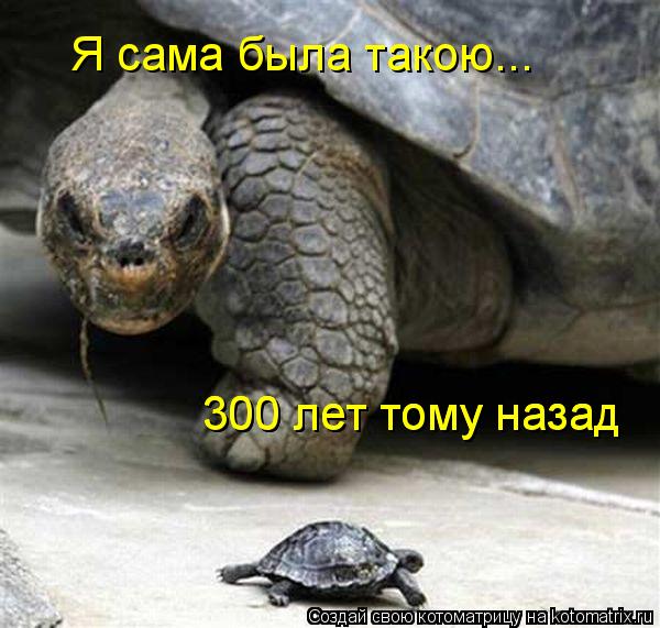 Котоматрица: Я сама была такою... 300 лет тому назад 300 лет тому назад