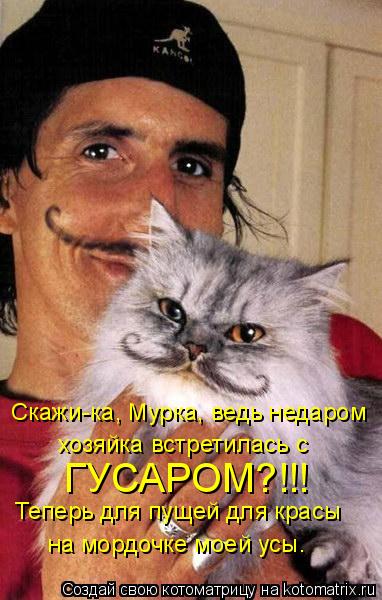 Скажи-ка, Мурка, ведь недаром хозяйка встретилась с ГУСАРОМ?!!! Теперь для пущей для красы на мордоч... Котоматрица: Скажи-ка, Мурка, ведь недаром хозяйка встретилась с ГУСАРОМ?!!! Теперь для пущей для красы на мордочке моей усы.
