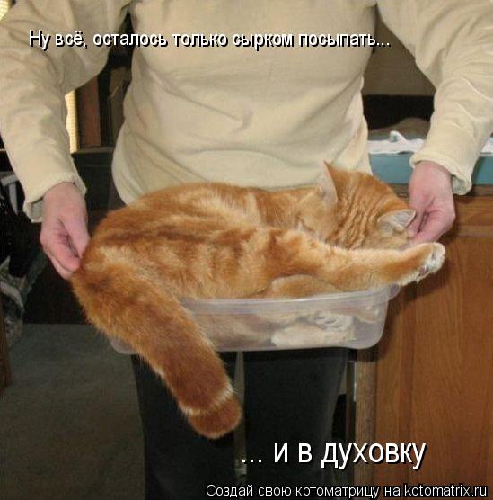 Котоматрица: Ну всё, осталось только сырком посыпать... ... и в духовку