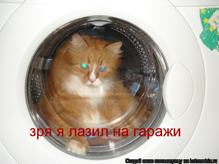 Котоматрица: зря я лазил на гаражи