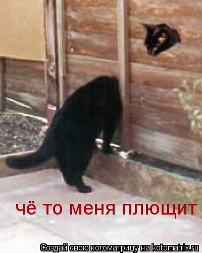 Котоматрица: чё то меня плющит