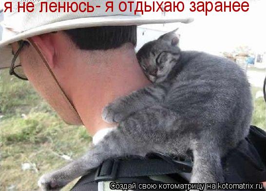 Котоматрица: я не ленюсь - я отдыхаю заранее
