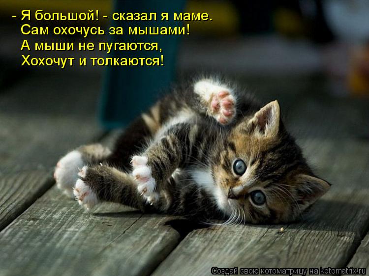 http://kotomatrix.ru/images/lolz/2010/05/12/570920.jpg