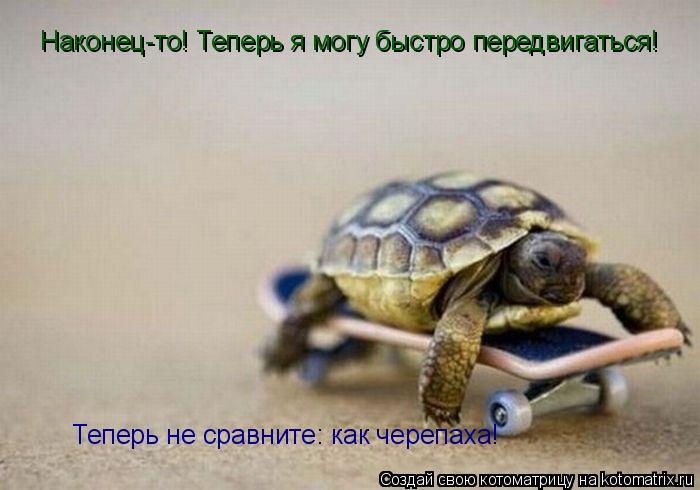 Котоматрица: Наконец-то! Теперь я могу быстро передвигаться! Теперь не сравните: как черепаха!