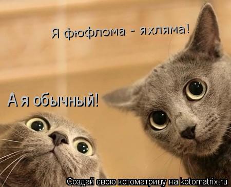 Я фюфлома - яхляма! А я обычный!... Котоматрица: Я фюфлома - яхляма! А я обычный!