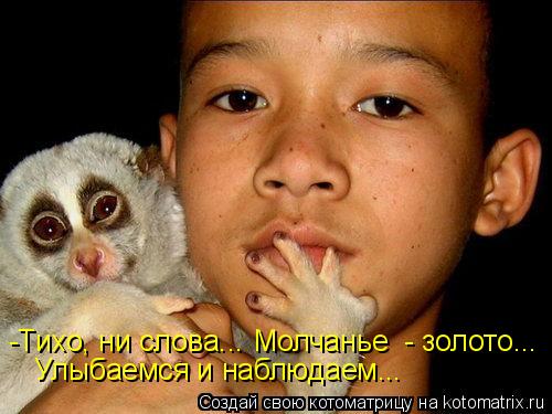-Тихо, ни слова... Молчанье - золото... Улыбаемся и наблюдаем...... Котоматрица: -Тихо, ни слова... Молчанье - золото... Улыбаемся и наблюдаем...