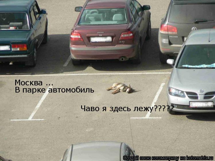 Москва ... В парке автомобиль Чаво я здесь лежу?????... Котоматрица: Москва ... В парке автомобиль Чаво я здесь лежу?????