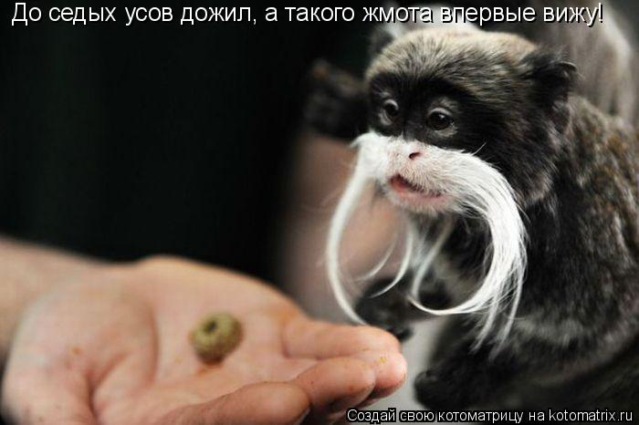 До седых усов дожил, а такого жмота впервые вижу!... Котоматрица: До седых усов дожил, а такого жмота впервые вижу!