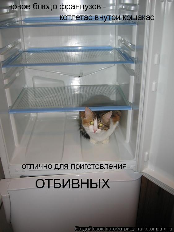 новое блюдо французов - котлетас внутри кошакас отлично для приготовления ОТБИВНЫХ... Котоматрица: новое блюдо французов - котлетас внутри кошакас отлично для приготовления ОТБИВНЫХ