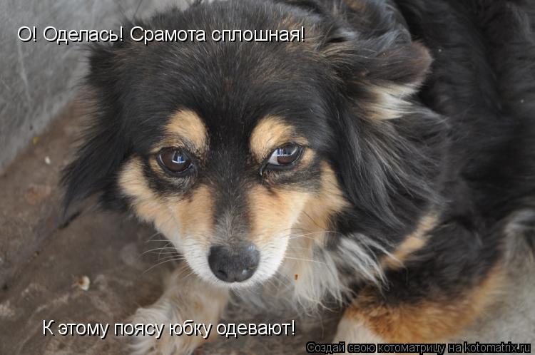 О! Оделась! Срамота сплошная! К этому поясу юбку одевают!... Котоматрица: О! Оделась! Срамота сплошная! К этому поясу юбку одевают!