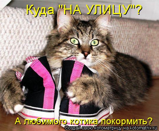 Куда "НА УЛИЦУ"? А любимого котика покормить?... Котоматрица: Куда "НА УЛИЦУ"? А любимого котика покормить?