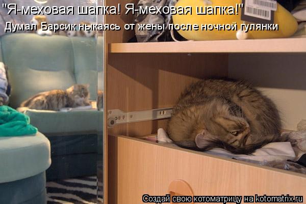 "Я-меховая шапка! Я-меховая шапка!" Думал Барсик ныкаясь от жены после ночной гулянки... Котоматрица: "Я-меховая шапка! Я-меховая шапка!" Думал Барсик ныкаясь от жены после ночной гулянки