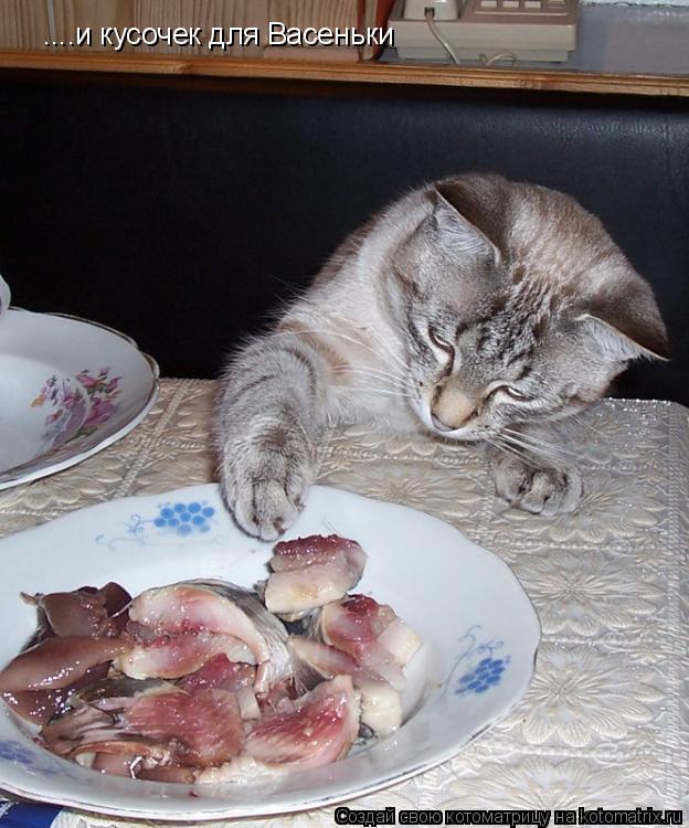 ....и кусочек для Васеньки... Котоматрица: ....и кусочек для Васеньки