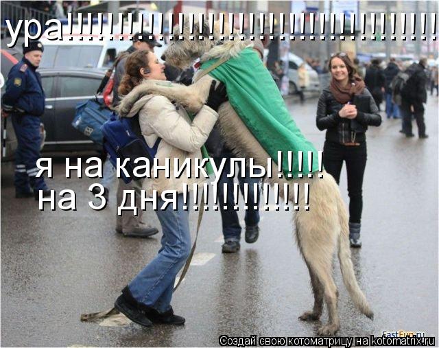 Котоматрица: я на каникулы!!!!! на 3 дня!!!!!!!!!!!!! ура!!!!!!!!!!!!!!!!!!!!!!!!!!!!!!!!!!!!!!!!!!!!!