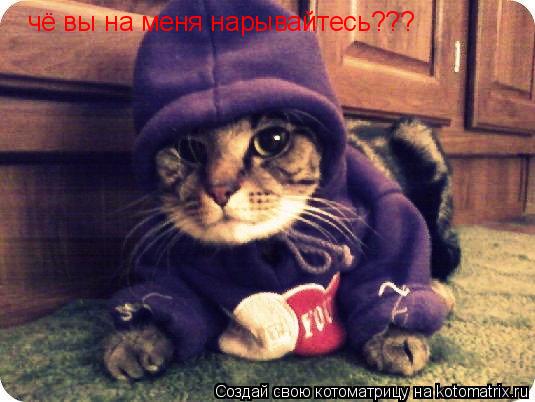 Котоматрица: чё вы на меня нарывайтесь???