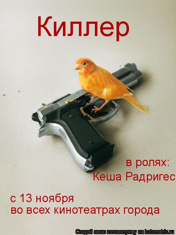 Котоматрица: Киллер с 13 ноября во всех кинотеатрах города Кеша Радригес в ролях: