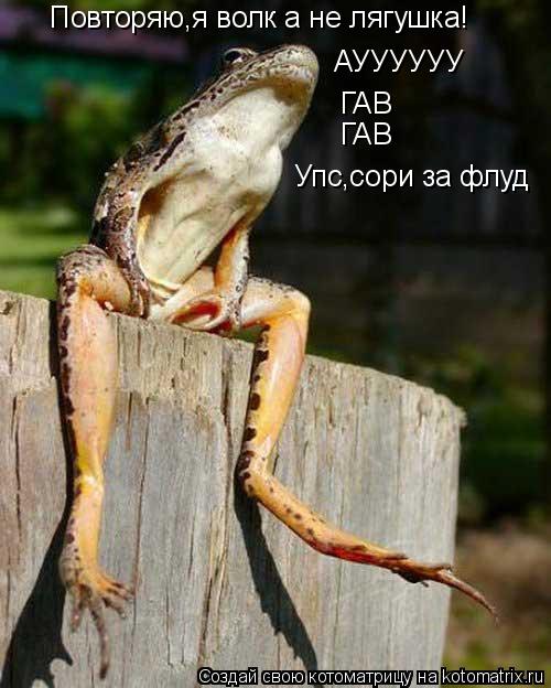 Повторяю,я волк а не лягушка! АУУУУУУ ГАВ ГАВ Упс,сори за флуд... Котоматрица: Повторяю,я волк а не лягушка! АУУУУУУ ГАВ ГАВ Упс,сори за флуд