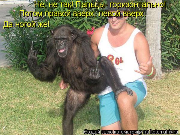 Да ногой же! Потом правой вверх, левой вверх. Не, не так! Пальцы- горизонтально!... Котоматрица: Да ногой же! Потом правой вверх, левой вверх. Не, не так! Пальцы- горизонтально!