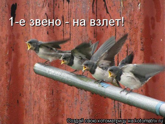 1-е звено - на взлет!... Котоматрица: 1-е звено - на взлет!