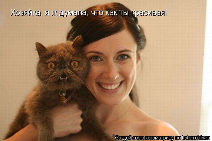 Хозяйка, я ж думала, что как ты красивая!... Котоматрица: Хозяйка, я ж думала, что как ты красивая!
