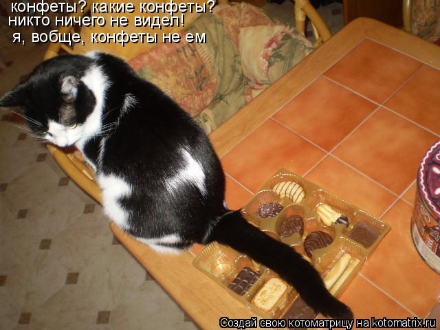 Котоматрица: конфеты? какие конфеты?  никто ничего не видел!  я, вобще, конфеты не ем