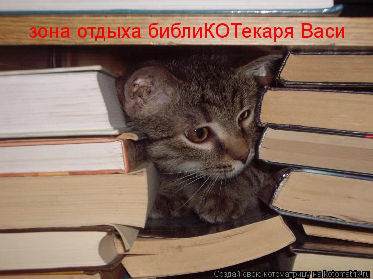 Котоматрица: зона отдыха библиКОТекаря Васи