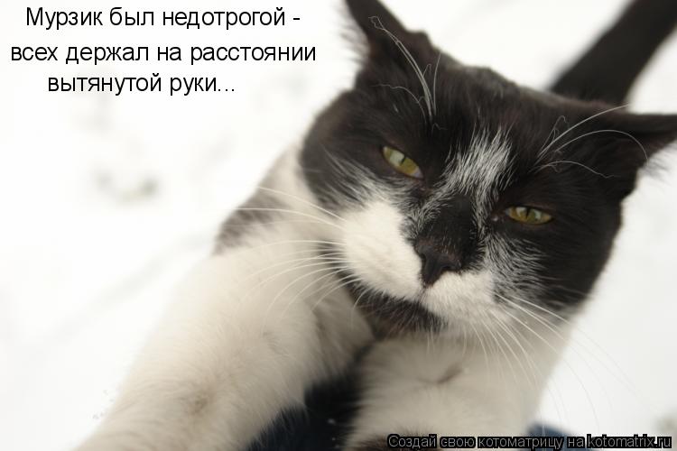 Мурзик был недотрогой - всех держал на расстоянии вытянутой руки...... Котоматрица: Мурзик был недотрогой - всех держал на расстоянии вытянутой руки...