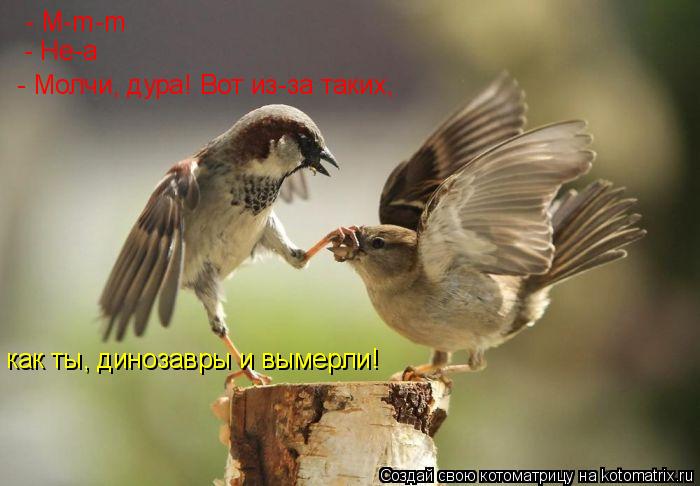 - M-m-m - Не-а - Молчи, дура! Вот из-за таких, как ты, динозавры и вымерли!... Котоматрица: - M-m-m - Не-а - Молчи, дура! Вот из-за таких, как ты, динозавры и вымерли!