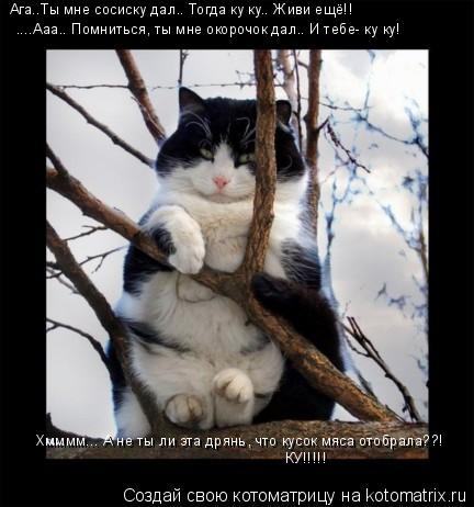 Ага..Ты мне сосиску дал.. Тогда ку ку.. Живи ещё!! ....Ааа.. Помниться, ты мне окорочок дал.. И тебе-... Котоматрица: Ага..Ты мне сосиску дал.. Тогда ку ку.. Живи ещё!! ....Ааа.. Помниться, ты мне окорочок дал.. И тебе- ку ку! Хмммм... А не ты ли эта дрянь, что кусок
