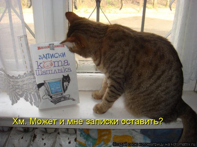 Хм. Может и мне записки оставить?... Котоматрица: Хм. Может и мне записки оставить?