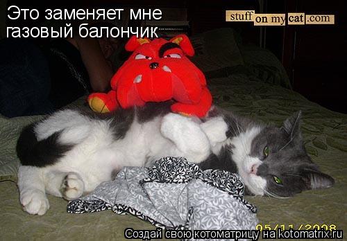 Это заменяет мне газовый балончик... Котоматрица: Это заменяет мне газовый балончик
