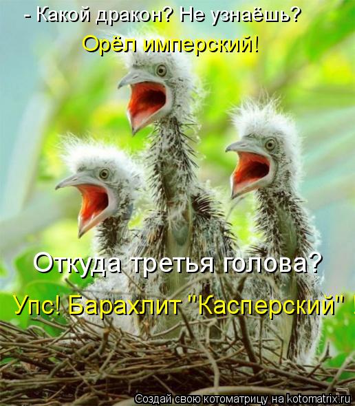 - Какой дракон? Не узнаёшь? Орёл имперский! Откуда третья голова? Упс! Барахлит "Касперский" !... Котоматрица: - Какой дракон? Не узнаёшь? Орёл имперский! Откуда третья голова? Упс! Барахлит "Касперский" !