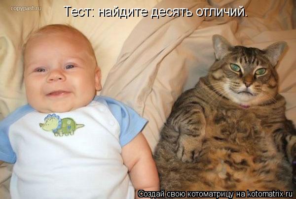 Тест: найдите десять отличий.... Котоматрица: Тест: найдите десять отличий.