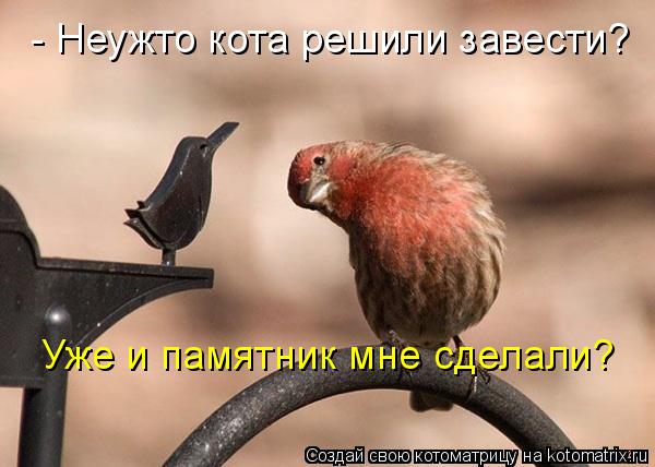 - Неужто кота решили завести? Уже и памятник мне сделали?... Котоматрица: - Неужто кота решили завести? Уже и памятник мне сделали?