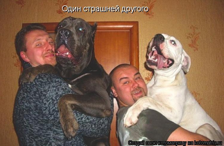Котоматрица: Один страшней другого