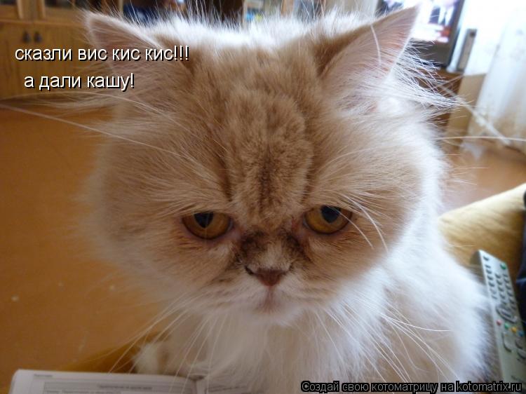 Котоматрица: сказли вис кис кис!!! а дали кашу!