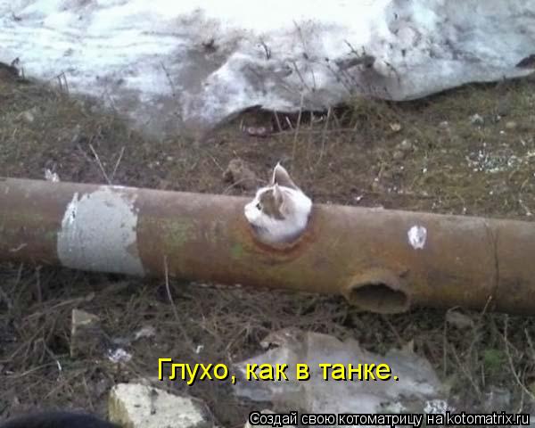 Котоматрица: Глухо, как в танке.