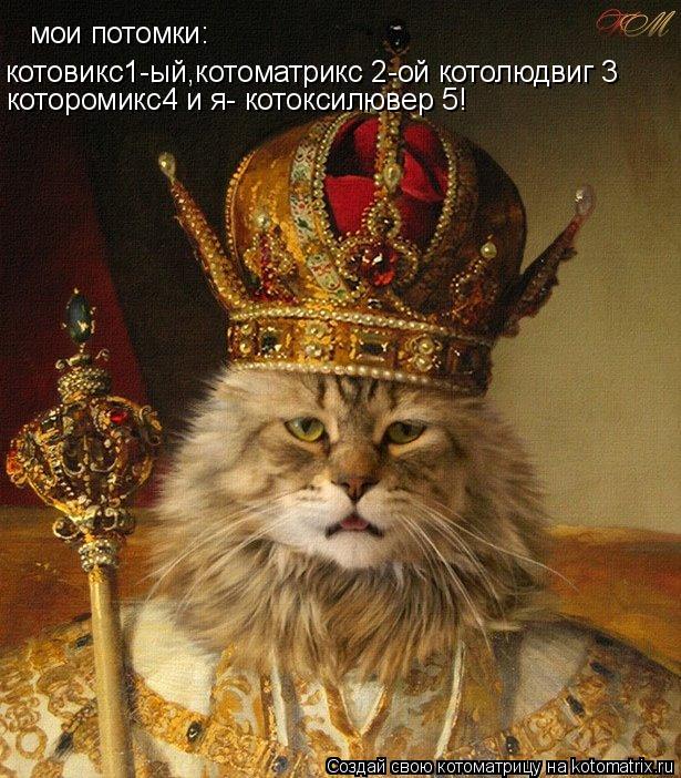 Котоматрица: мои потомки: котовикс1-ый,котоматрикс 2-ой котолюдвиг 3 которомикс4 и я- котоксилювер 5!