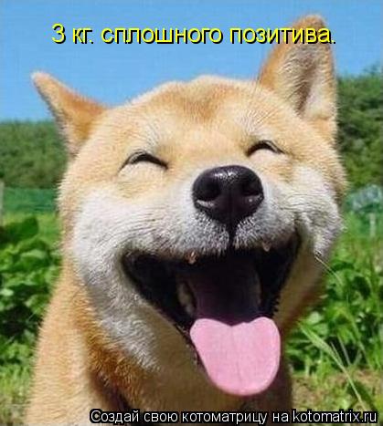 Котоматрица: 3 кг. сплошного позитива.