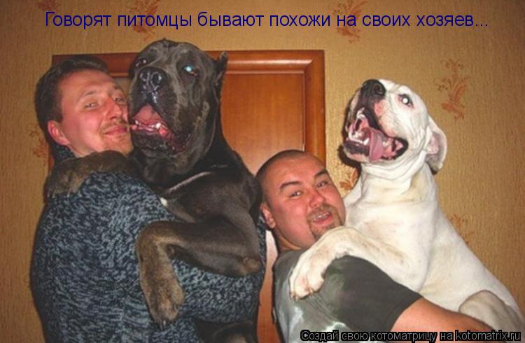 Котоматрица: Говорят питомцы бывают похожи на своих хозяев...