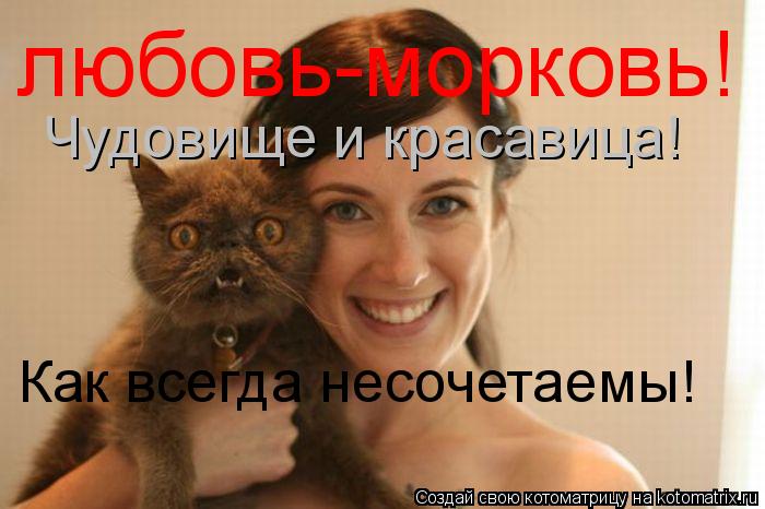 Котоматрица: Чудовище и красавица! Как всегда несочетаемы! любовь-морковь!