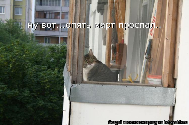 Котоматрица: ну вот...опять март проспал..