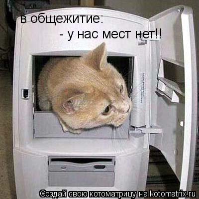 Котоматрица: в общежитие: - у нас мест нет!!