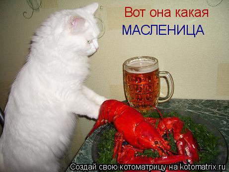 Котоматрица: Вот она какая  МАСЛЕНИЦА