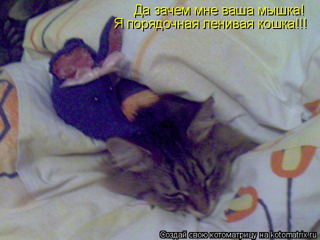 Котоматрица: Да зачем мне ваша мышка! Я порядочная ленивая кошка!!!