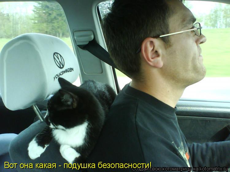 Котоматрица: Вот она какая - подушка безопасности!