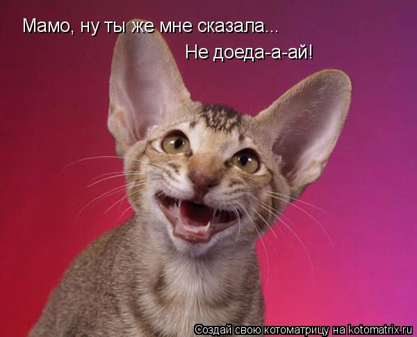 Котоматрица: Мамо, ну ты же мне сказала... Не доеда-а-ай!